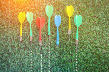 colorful dart arrow on grass floor