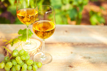 Green grape and two glasses of white wine in the vineyard