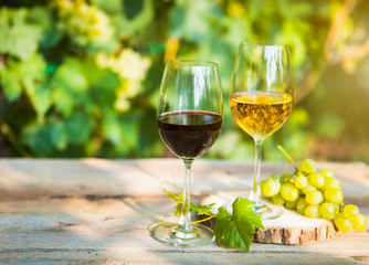 Green grapes and two glasses of the white and red wine on the vi