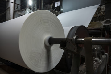 Paper and pulp mill