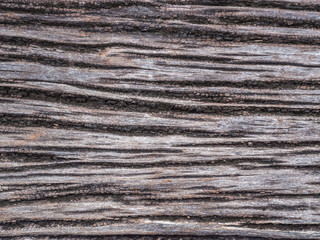 The pattern of the old wood texture