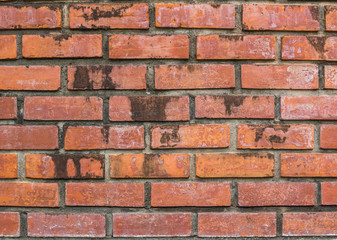 Obraz premium dirty brick wall background
