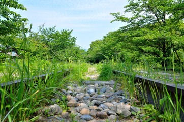 京都　インクライン