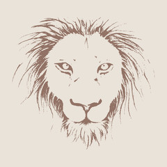 Lion face drawing illustration in brown line art.