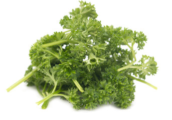 parsley on a white background