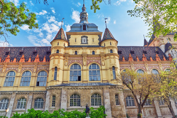 Obraz premium Vajdahunyad Castle (Hungarian-Vajdahunyad vara) is a castle in t