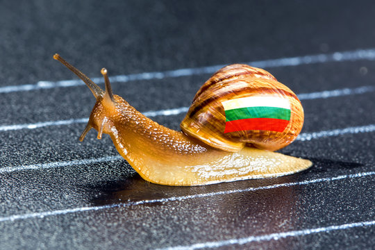 Snail under flag of Bulgaria on sports track
