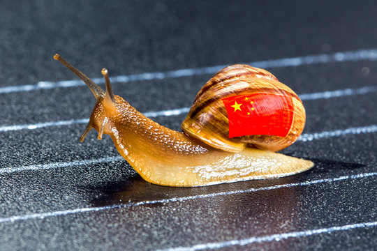 Snail under Chinese flag on sports track