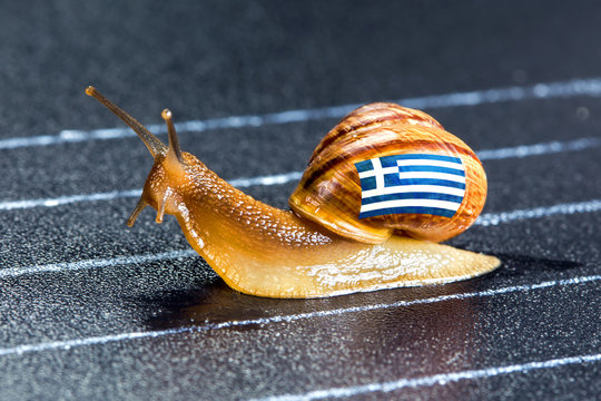Snail under flag of Greece on sports track
