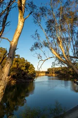 Deurstickers On the Murray River early morning © Michael Garner