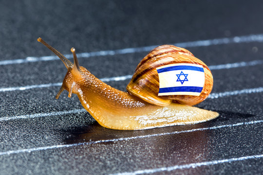 Snail under flag of Israel on sports track