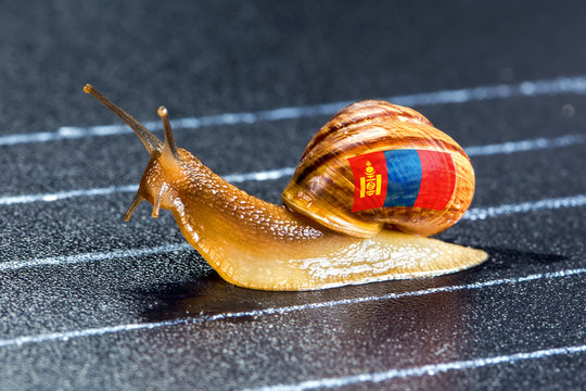 Snail under flag of Mongolia on sports track