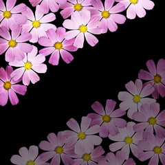 Beautiful summer background of delicate pink flowers 