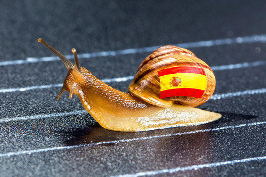 Snail under flag of Spain on sports track