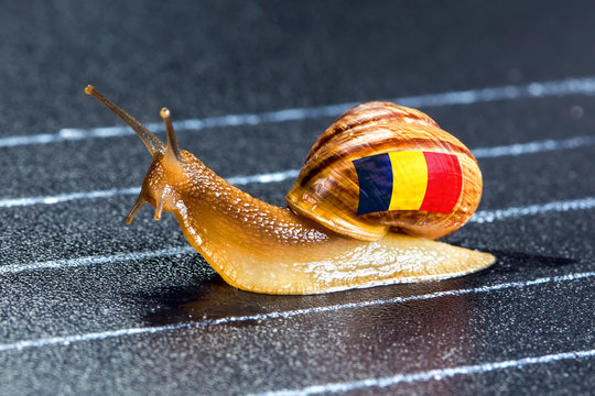Snail under flag of Romania on sports track