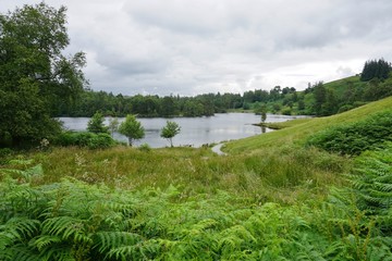 Tarn Hows, a picturesque outdoor area in the Lake District in Cumbria, England