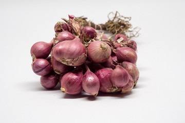 Shallot onions a group on white background.