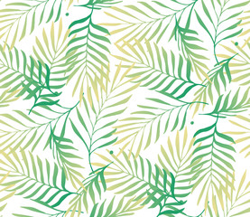 Tropical palm tree leaves background
