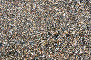 Sea sand texture made of shell and stone pieces.