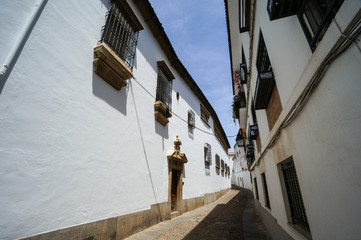 Fototapeta na wymiar White Street of Cordoba, Spain
