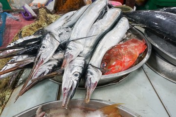 Fresh barracuda fish at farmers market