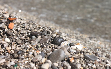 Wet pebble stones on the beach close up