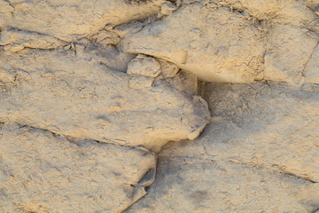 Weathered Globerigina Limestone