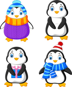 Cartoon funny penguin collection set