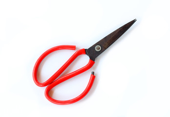 iron scissors for horticulture(flower , tree, garden)