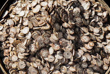 betel nut