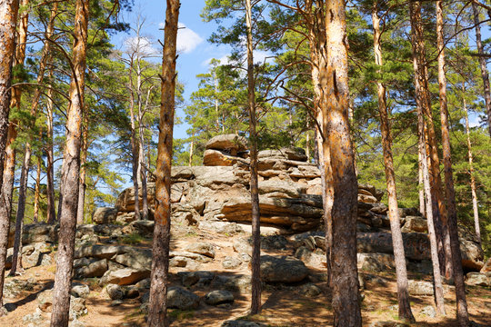 mountain forest in burabai