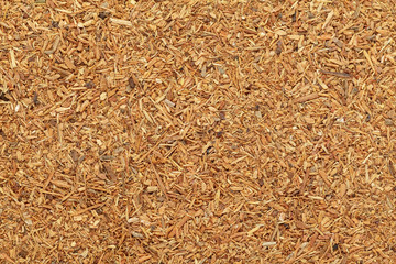 Organic grated Himalayan cedar or Devadar (Cedrus deodara) in tea cut size. Macro close up background texture. Top view.