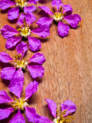 Queen flowers on wooden floor