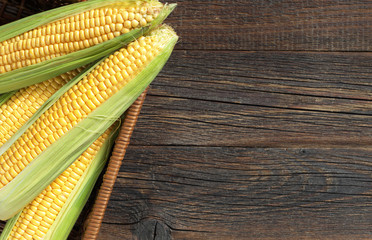 Ripe sweet corn © Sasajo