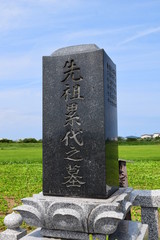 Fototapeta premium お墓の風景