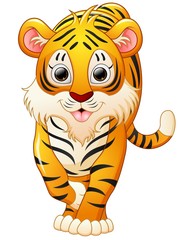 Cute tiger cartoon isolated on white background