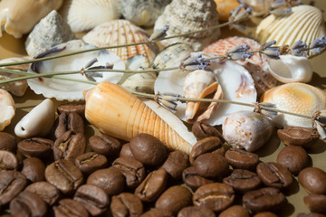 shells with coffee and lavender
