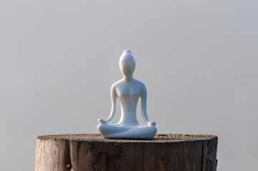 silhouette of young healthy woman practicing yoga, meditate and pray on wooden surface. Om or omh...