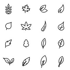 Obraz premium Vector line leaf icon set