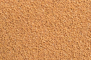 Mustard seed background