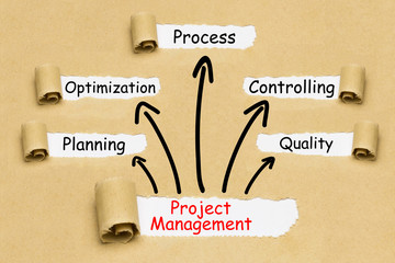 Project Management Concept