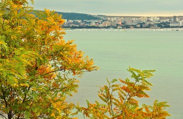 Sea resort town of Gelendzhik in autumn on Black sea coast. Focus on yellow foliage of tree on foreground, town out of focus in blur effect. Retro card styling