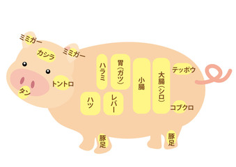 豚肉　内臓部位の名称