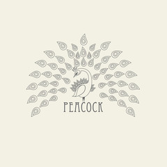 Line peacock logo on a bright background. Label with luxurious tail feathers in modern style. Vector illustration