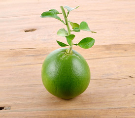Green Grapefruit peel on white background