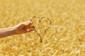 Herz im Kornfeld