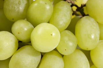 Background of fruits of white grape, close up