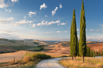 Beautiful picturesque view of the road and cypress trees. - 117442235