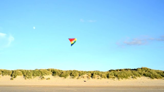 A colorful kite is flying over the dunes near the ocean