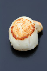 noix de saint-jacques 04082016